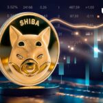 Shiba Inu (SHIB) 485٪ افزایش جریان خالص دستخوش تغییر جالب شد: جزئیات