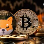 Shiba Inu Insider برای SHIB و BTC فراخوان بیدارباش صادر می کند