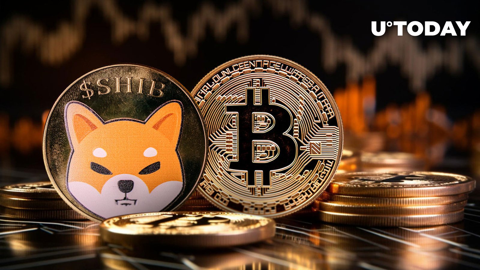 Shiba Inu Insider برای SHIB و BTC فراخوان بیدارباش صادر می کند