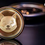 Shiba Inu Insider پیام مهم خود را با جامعه SHIB به اشتراک می گذارد