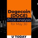 30 می DOGE پیش بینی قیمت