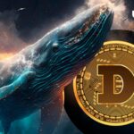 700 میلیون دوج کوین (DOGE) در 72 ساعت نهنگ ها بالاخره بیدار شدند