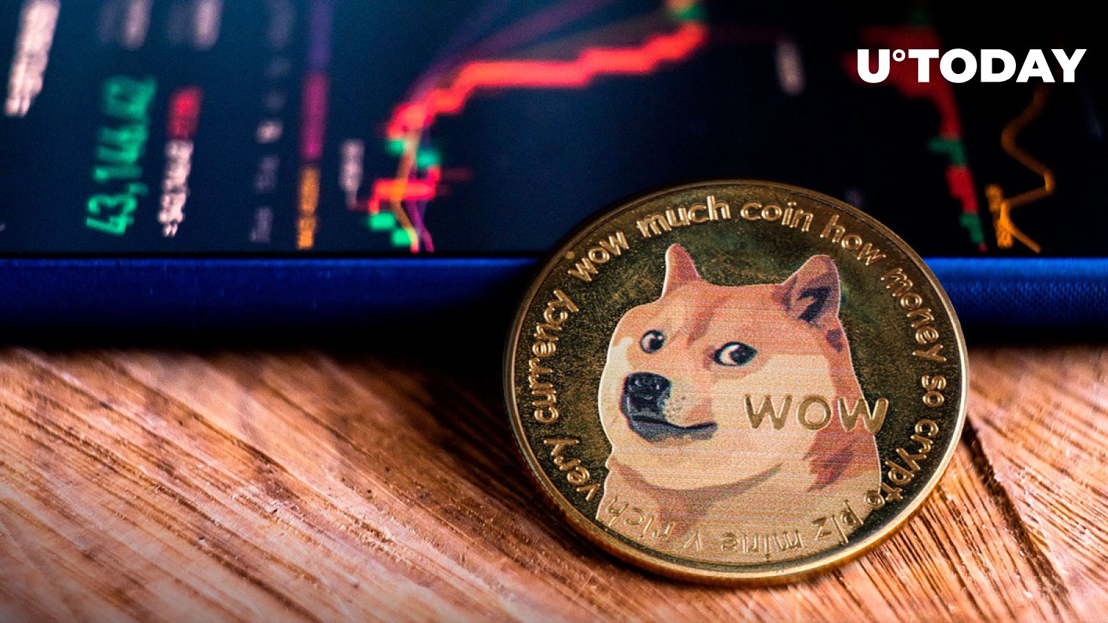 نظرات بنیانگذار Dogecoin (DOGE) در مورد سقوط بازار کریپتو