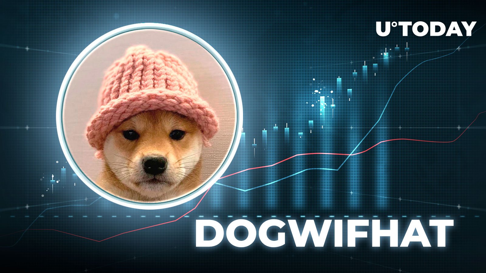 Dogwifhat و Dogecoin Pare مبتنی بر Solana با تلاش بیت کوین برای بازپس گیری 64 هزار دلار ارزش کسب می کنند