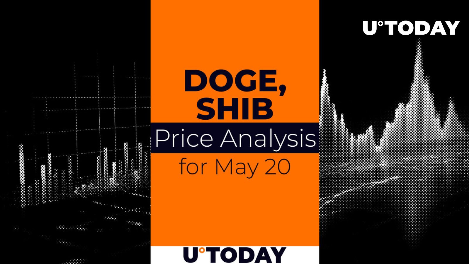 20 می DOGE و SHIB پیش بینی قیمت