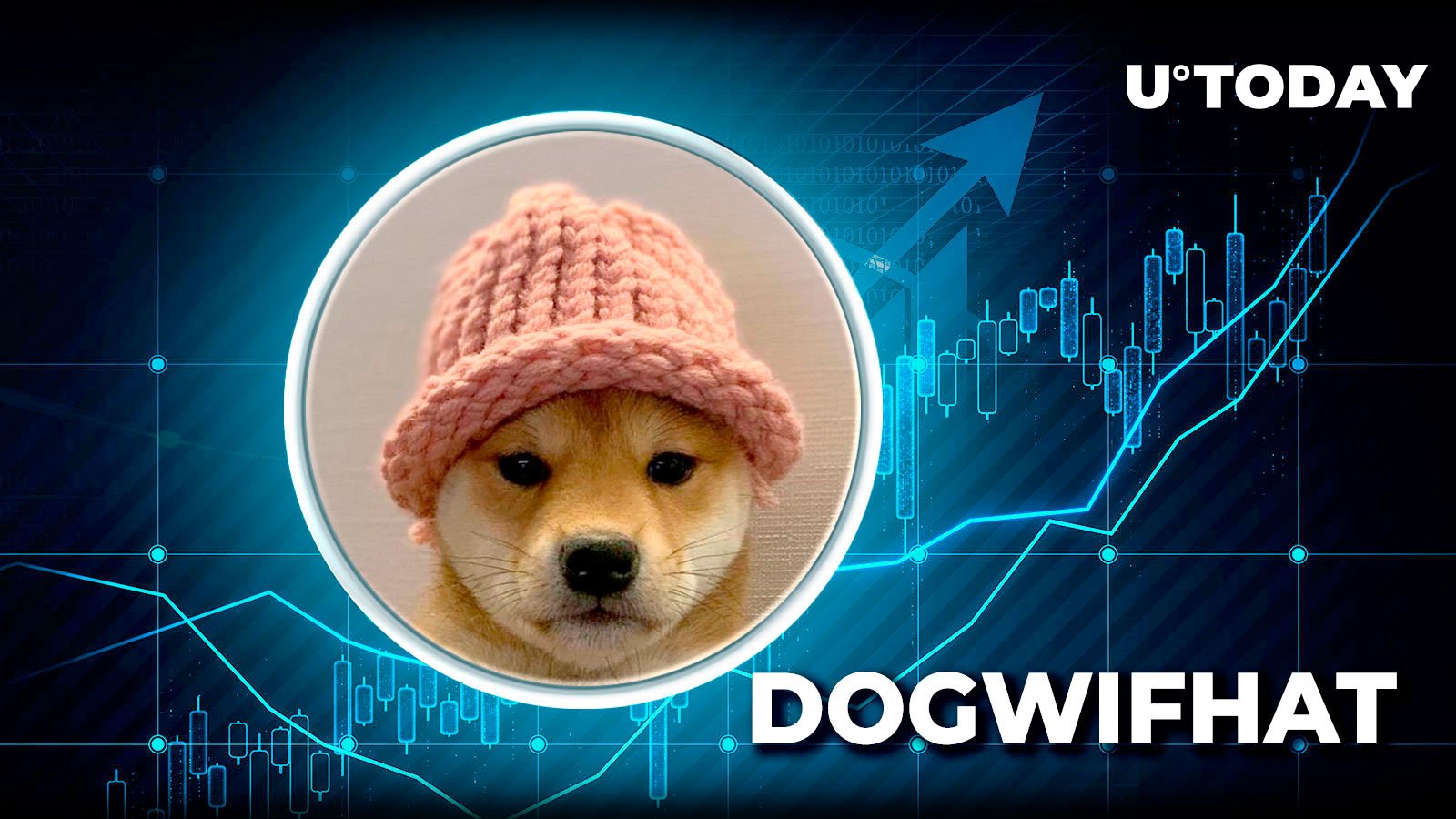 با افزایش قیمت، حجم Dogwifhat (WIF) 39٪ افزایش می یابد