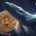 بیت کوین (BTC) از موج 100 میلیارد دلاری نهنگ های جدید مگا استقبال می کند