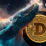 27.78 میلیارد Dogecoin (DOGE) توسط نهنگ ها در 24 ساعت احتکار شد، چه اتفاقی می افتد؟