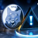 Shiba Inu Insider یادآورهای مهمی را با انجمن SHIB به اشتراک می گذارد