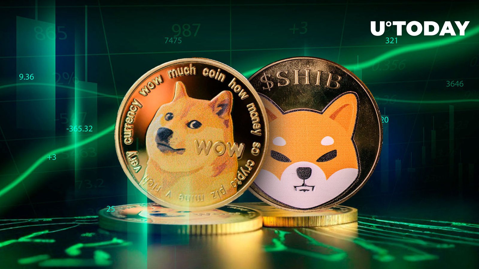 Dogecoin (DOGE) در آخرین گزارش می گوید "بسیار صعودی".  در مورد SHIB چطور؟