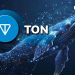 Toncoin (TON) 376٪ در فعالیت نهنگ افزایش می یابد.  چه خبر است؟