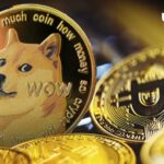 انجمن DOGE بحث داغ "Dogecoin یا Bitcoin" را آغاز می کند، این تغییر شگفت انگیز است