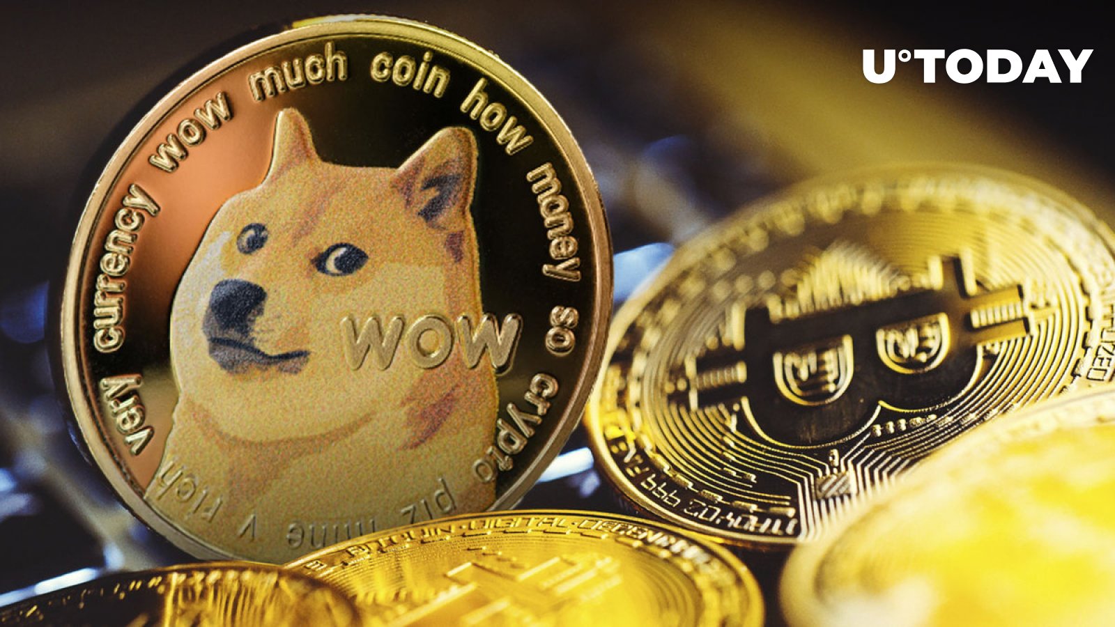 انجمن DOGE بحث داغ “Dogecoin یا Bitcoin” را آغاز می کند، این تغییر شگفت انگیز است