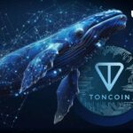 جشنواره نهنگ های Toncoin (TON) با حجم 1.72 میلیون ادامه دارد