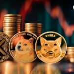 XRP، SHIB و Dogecoin Eye Epic Reaction: چه اتفاقی افتاد؟