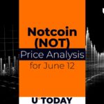 12 ژوئن پیش بینی قیمت Notcoin (NOT).