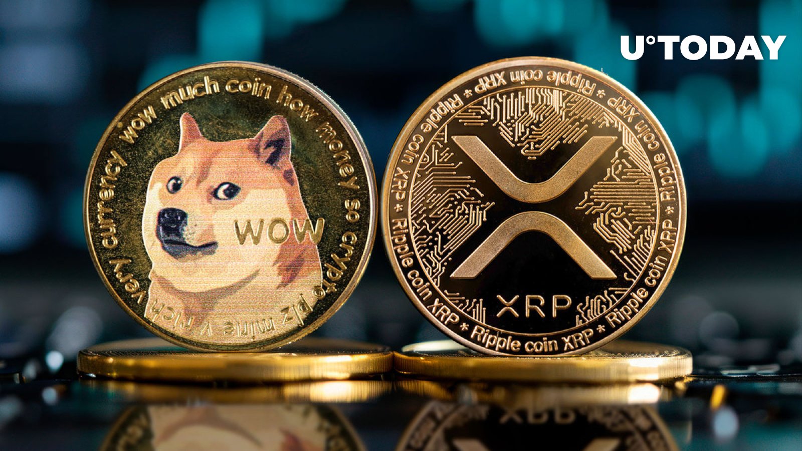 XRP و Dogecoin: چه کسی در بازار برتر است؟