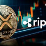 XRP با یک میلیون دلار جریان سرمایه در انتظار تصمیم ریپل و SEC افزایش می یابد