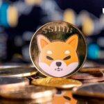 Shiba Inu 243٪ افزایش یافت اما قیمت SHIB تغییر نمی کند