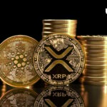 تحلیلگر سابق گلدمن ساکس، XRP و ADA را به عنوان «سکه‌های میم فرقه» نقد می‌کند.