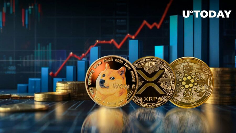 DOGE، XRP و ADA افزایش شهاب سنگ را در سیگنال متریک مشاهده می کنند