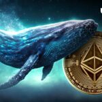 Sleeping Ethereum Whale با تغییر 7240 ETH، صرافی ارزهای اصلی را غافلگیر کرد