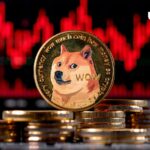 Dogecoin (DOGE) 92.5٪ در متریک اصلی روی زنجیره کاهش یافت، چه اتفاقی می افتد؟