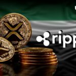 XRP سبز می درخشد زیرا ریپل شراکت بزرگ خود را در امارات اعلام کرد