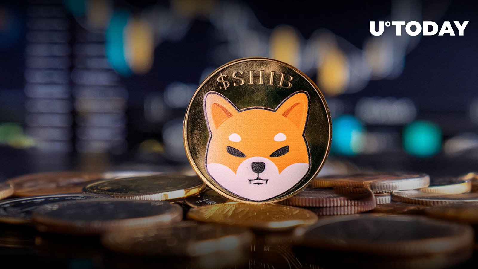 Shiba Inu (SHIB) در 12 ماه بهتر از اتریوم (ETH) عمل کرد