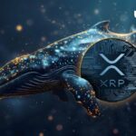 Mega XRP Whale پس از انتقال 99 میلیون توکن ظاهر شد