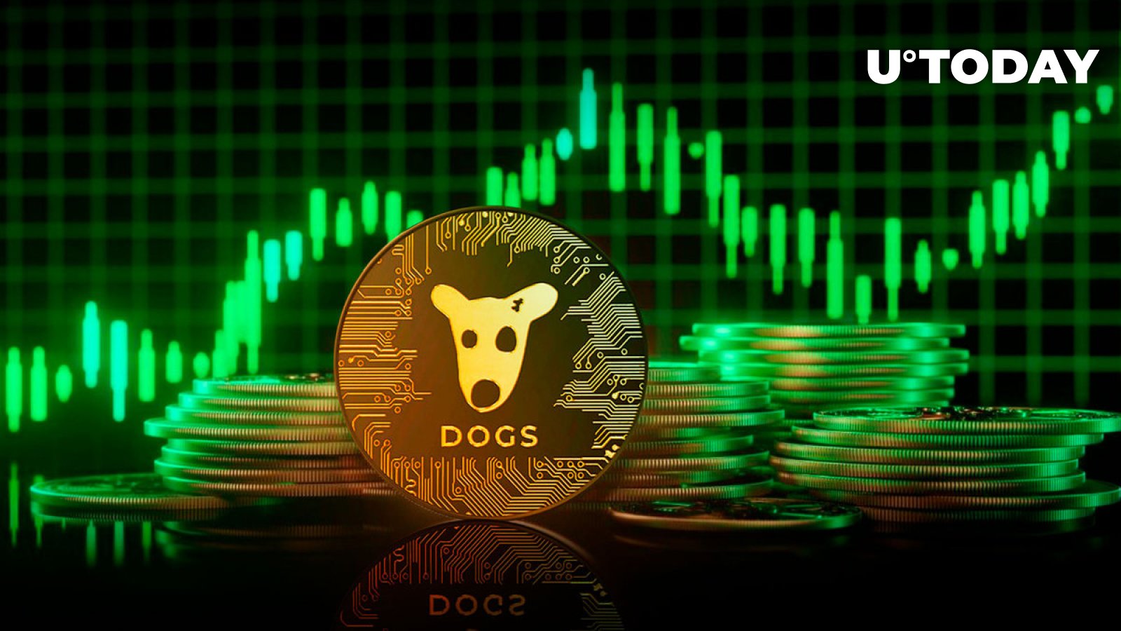 DOGS Meme Coin در Bounce دیدنی 38% افزایش یافت