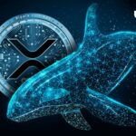 Mega XRP Whales پس از برداشت 806 میلیون توکن ظاهر شد