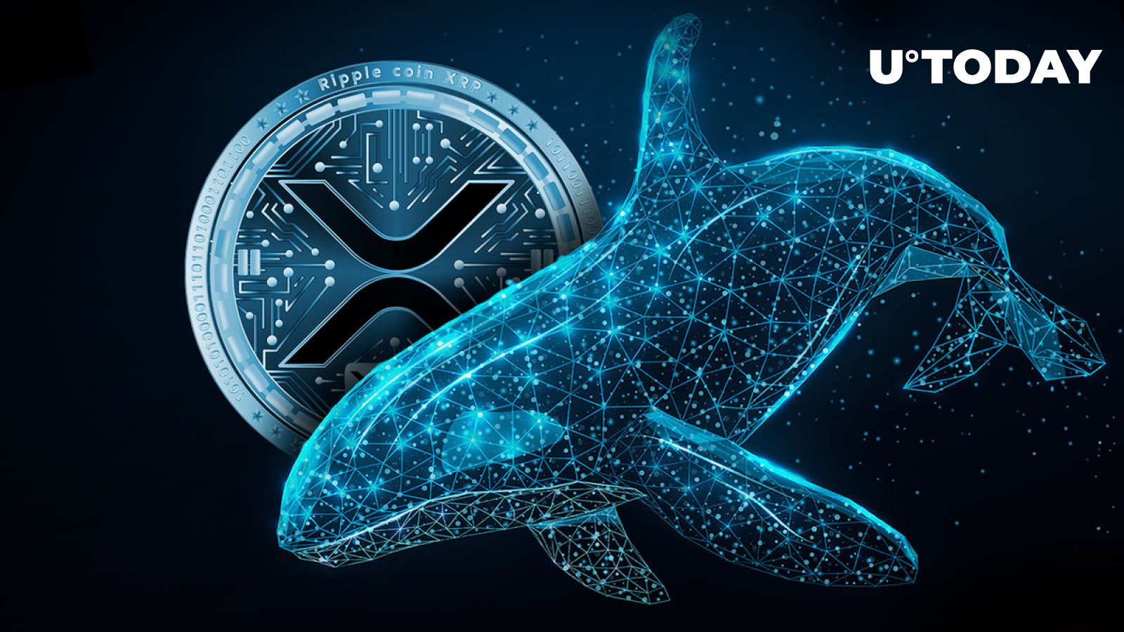 Mega XRP Whales پس از برداشت 806 میلیون توکن ظاهر شد