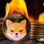 نرخ سوختگی Shiba Inu به 28145٪ افزایش یافت زیرا قیمت SHIB به طور شگفت انگیزی واکنش نشان داد