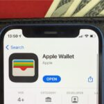 Apple Wallet in the App Store on an iPhone