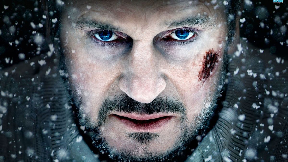 Liam Neeson in &quot;The Grey&quot; movie (2012)