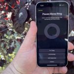 Paused Move Ring in iOS 18 fitness app on an iPhone screen