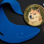 افزایش 1476 درصدی Dogecoin با خرید نهنگ