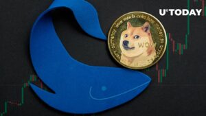 افزایش 1476 درصدی Dogecoin با خرید نهنگ