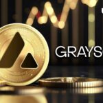 بهمن (AVAX) به عنوان Grayscale Dedicates Trust 17 درصد افزایش می یابد