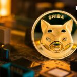 مالکان Shiba Inu باید توجه کنند - در اینجا دلیل مهم بودن آن است