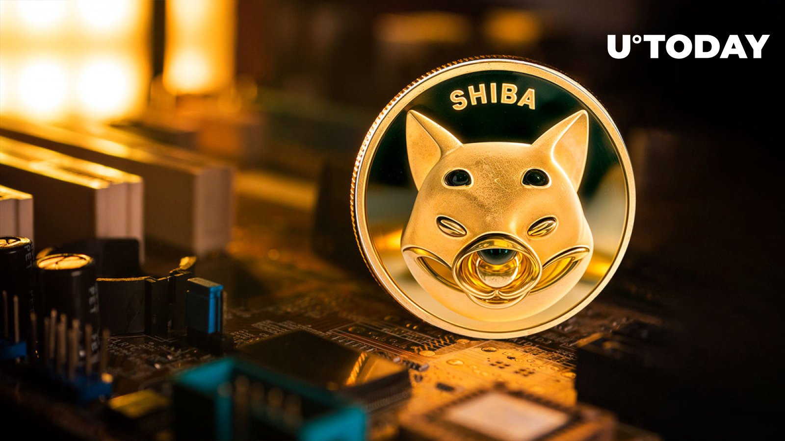 مالکان Shiba Inu باید توجه کنند – در اینجا دلیل مهم بودن آن است