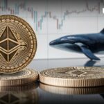 ناپدید شدن نهنگ های اتریوم (ETH): جزئیات