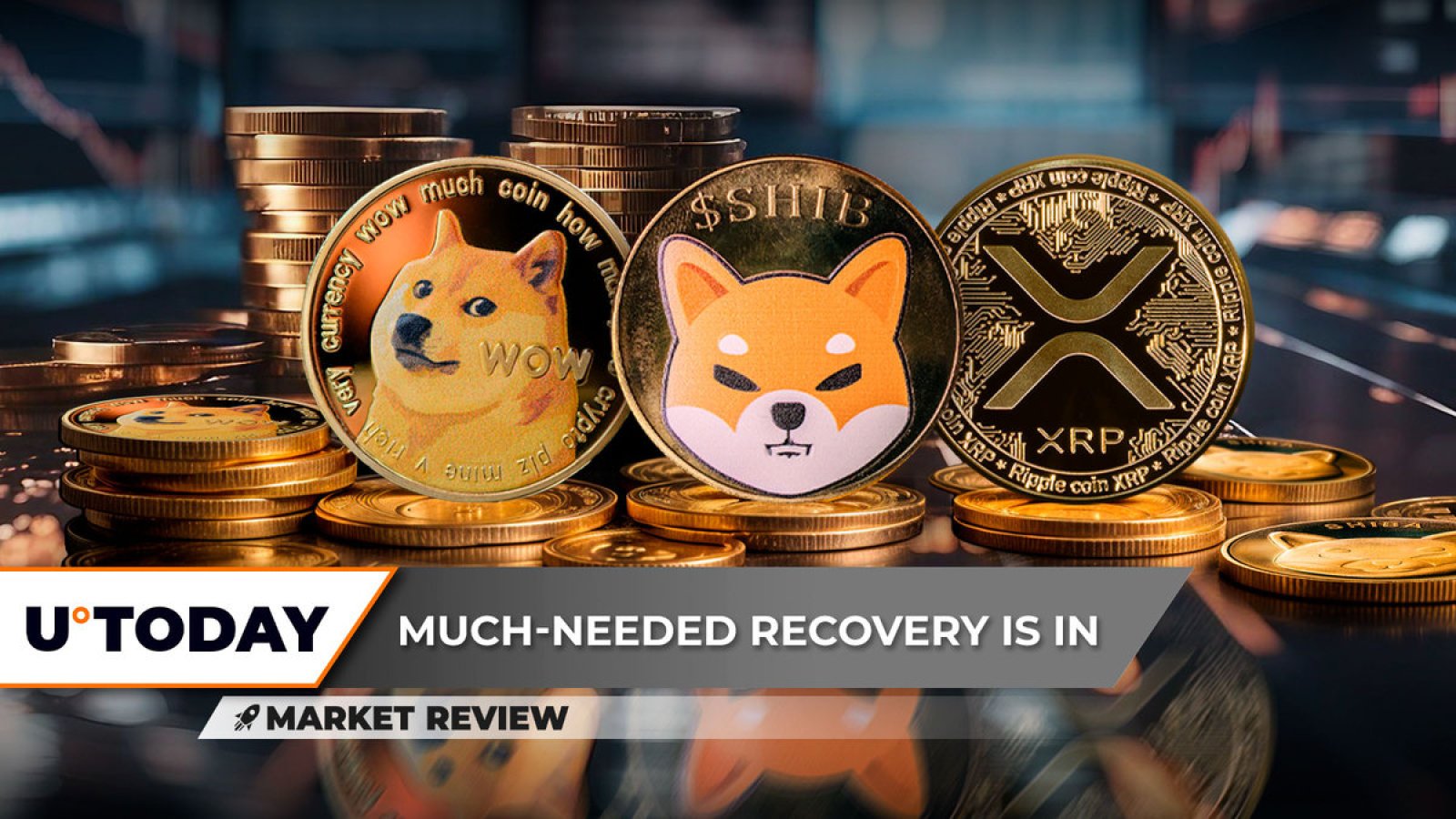 Dogecoin (DOGE) صفر را حذف می کند، Shiba Inu (SHIB) سالم به نظر نمی رسد، فاجعه XRP جلوگیری می شود، در اینجا چگونگی