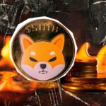 نرخ سوزاندن SHIB با افزایش قیمت Shiba Inu 1009٪ افزایش یافت: جزئیات