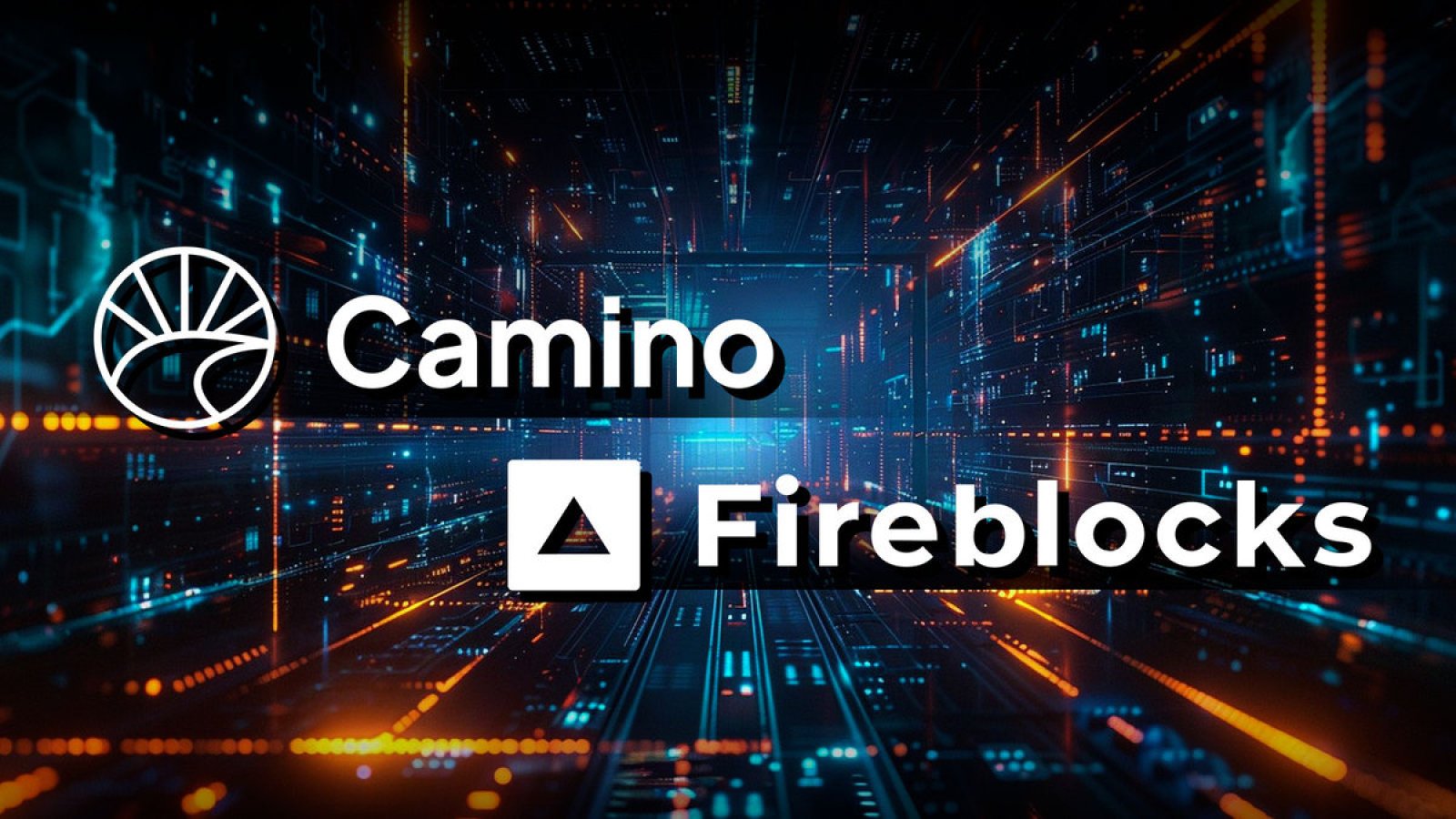 Camino Network L1 برای حداکثر در دسترس بودن توکن با Fireblocks همکاری می کند