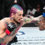 Sean O'Malley, sporting an outlandish rainbow-colored braided hairstyle, punches out ahead of the UFC 306 live stream