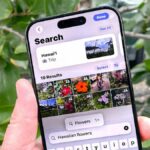 Natural language search on an iPhone 15 Pro running iOS 18.1