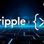 مدیرعامل Ripple می‌گوید که بهبودهای عمده‌ای را برای XRP Ledger انجام خواهد داد