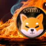 نرخ سوختگی Shiba Inu (SHIB) به 8.193% افزایش یافت، قیمت افزایش یافت